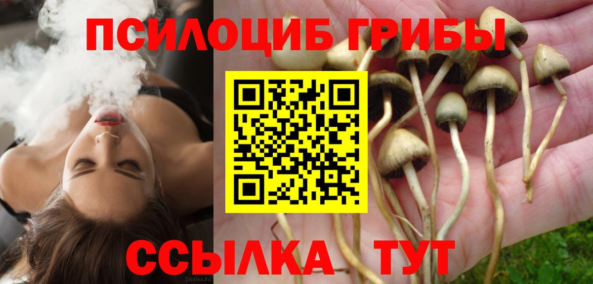 Галлюциногенные грибы Cubensis Электрогорск
