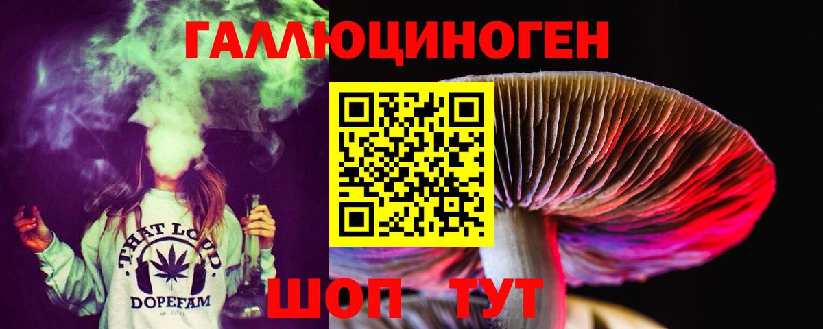 Галлюциногенные грибы Psilocybe  где купить   Электрогорск  Галлюциногенные грибы GOLDEN TEACHER  Вход с VPN 